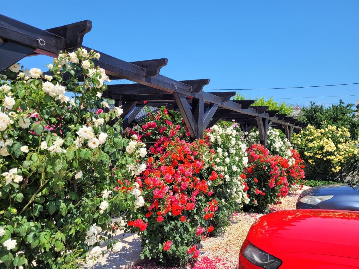 Kys House Ξενοδοχείο Techirghiol Εξωτερικό φωτογραφία