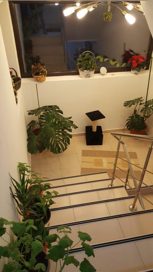 Kys House Ξενοδοχείο Techirghiol Εξωτερικό φωτογραφία