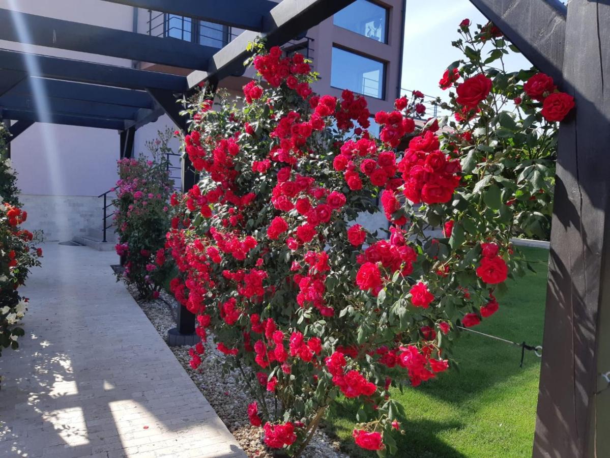 Kys House Ξενοδοχείο Techirghiol Εξωτερικό φωτογραφία