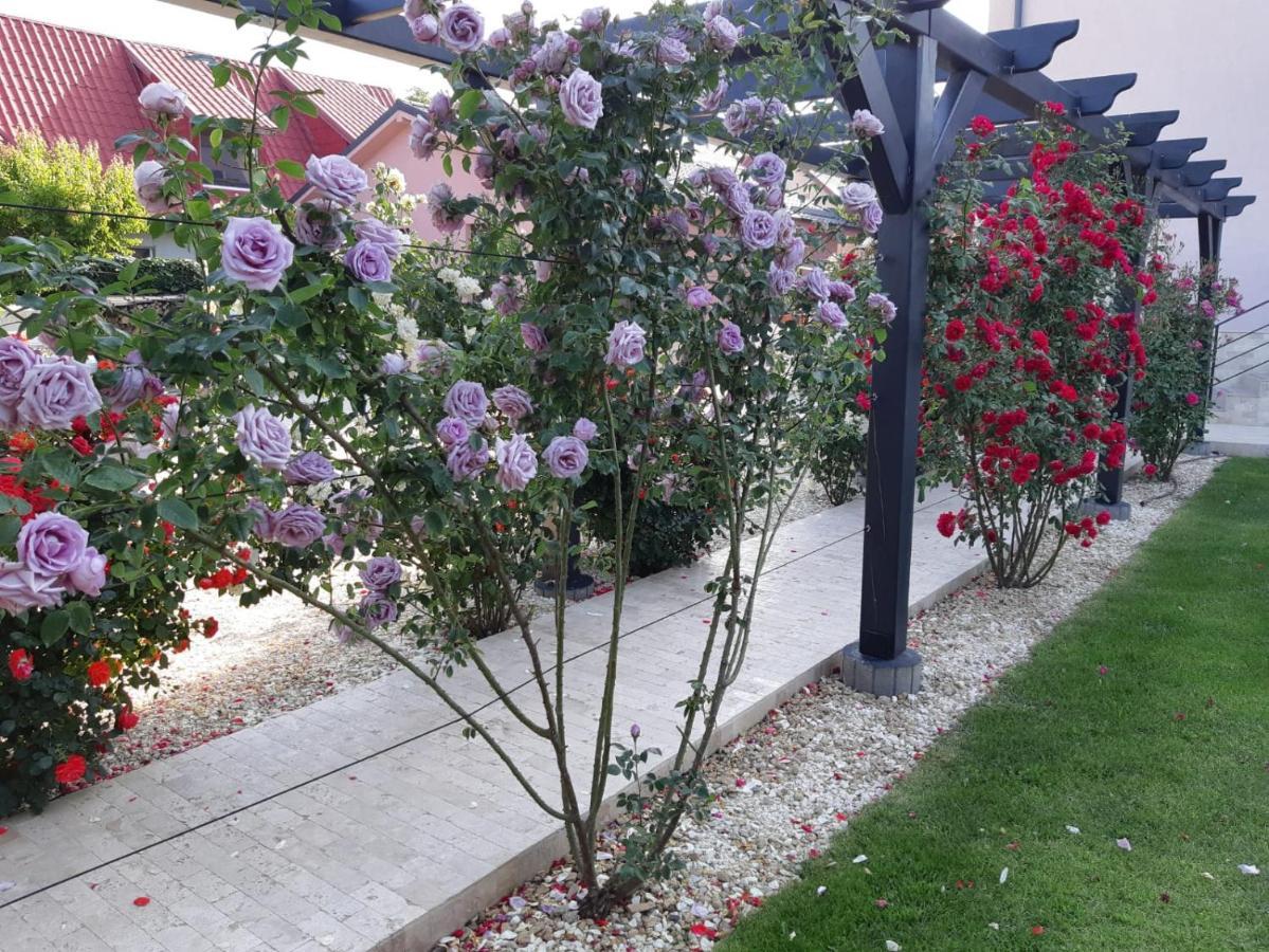 Kys House Ξενοδοχείο Techirghiol Εξωτερικό φωτογραφία